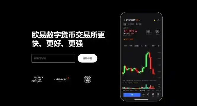 OE交易所官网入口页面展示